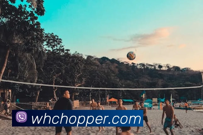 8868体育(中国)官方网站 - 登录入口服务体系